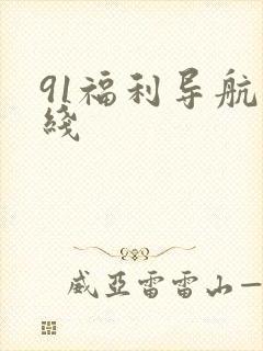 91福利导航在线