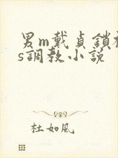 男m戴贞锁被女s调教小说