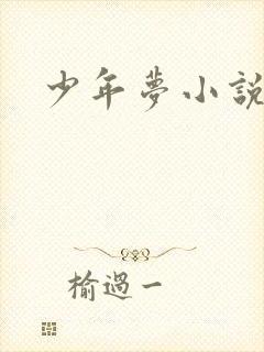 少年梦小说
