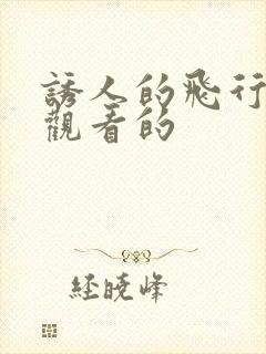 诱人的飞行在线观看的