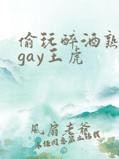 偷玩醉酒熟睡男gay王虎