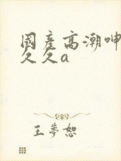 国产高潮呻吟久久久a