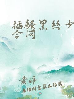 插骚黑丝少妇综合网