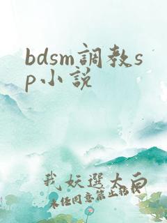 bdsm调教sp小说