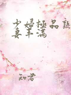 少妇极品熟妇人妻丰满