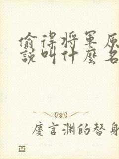 偷得将军原著小说叫什么名字