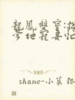 龙凤双宝:总裁爹地宠妻忙