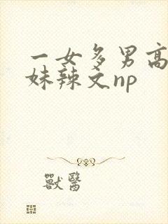 一女多男高h兄妹辣文np
