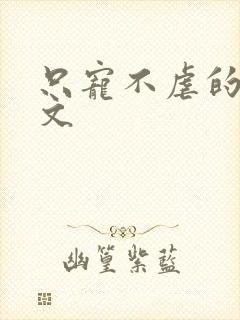 只宠不虐的甜宠文