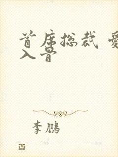 首席总裁 爱你入骨