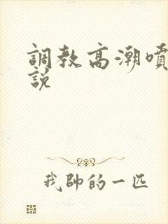 调教高潮喷水小说