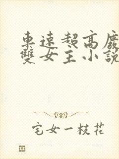 车速超高废文的双女主小说推荐