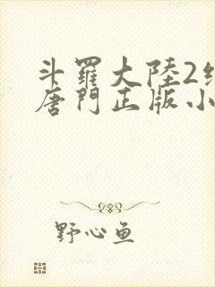 斗罗大陆2绝世唐门正版小说