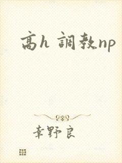 高h 调教np