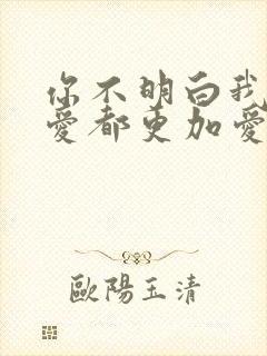 你不明白我说不爱都更加爱是什么歌