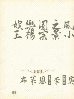 娱乐圈之风流帝王杨宗景小说