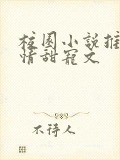 校园小说推荐言情甜宠文