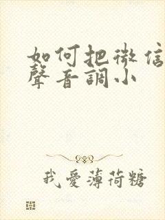 如何把微信通话声音调小