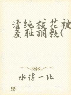 清纯校花被民工羞耻调教(