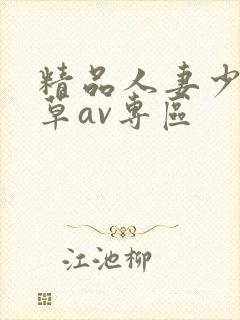 精品人妻少妇嫩草av专区