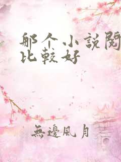 那个小说阅读器比较好