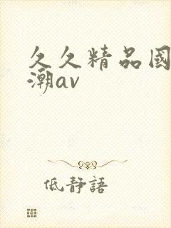 久久精品国产高潮av