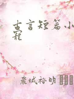 古言短篇小说甜宠
