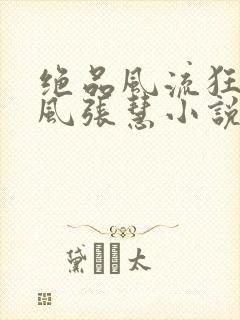 绝品风流狂医林风张慧小说电子书