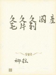 久久久国产精品毛片到