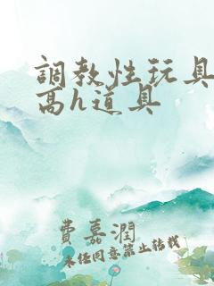 调教性玩具np高h道具