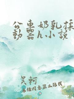 公车奶乳揉搓震动器h小说