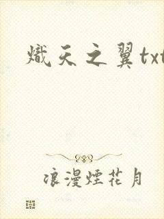 炽天之翼txt