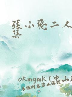 张小飞二人转全集