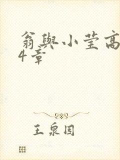 翁与小莹高潮24章