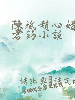 陈斌赵心媚高婉君的小说