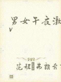 男女午夜激情av