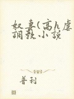 奴妻(高h虐身调教小说