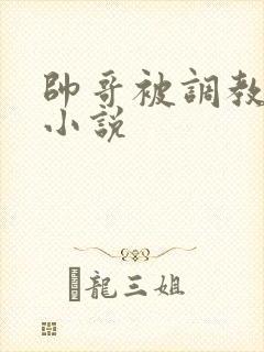 帅哥被调教日常小说