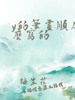 y的笔画顺序怎么写的