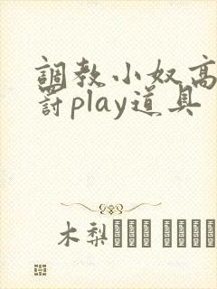 调教小奴高潮惩罚play道具