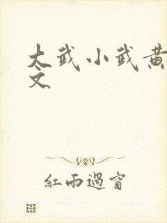 大武小武黄蓉原文