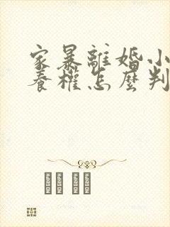 家暴离婚小孩抚养权怎么判