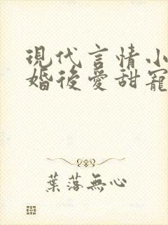 现代言情小说先婚后爱甜宠