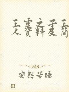 王震之子王之个人资料及简介