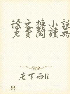 徐文栋小说正版免费阅读无弹窗