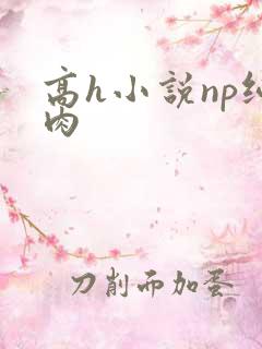 高h小说np纯肉