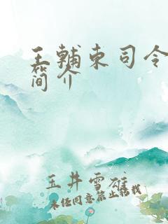 王辅东司令资料简介