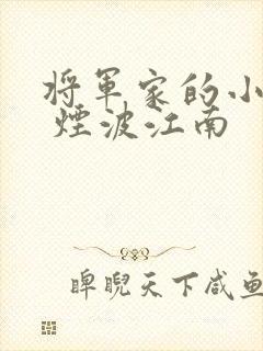 将军家的小娘子 烟波江南