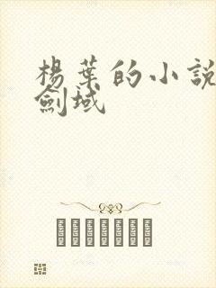 杨叶的小说无敌剑域