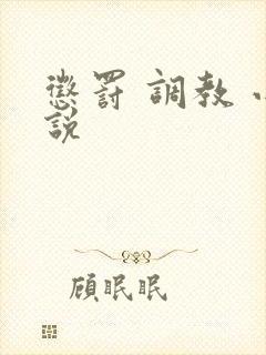 惩罚 调教 小说